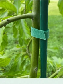 3/5米可重复使用园艺植物扎带，双面植物支撑带，适用于攀援藤蔓、番茄和枝条。适用于绿植和藤蔓造型、线缆管理，长度可自由修剪和调节。 - 均碼 - 查看 6
