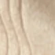 Medium Apricot Color