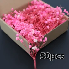 100/50入人造深粉色/淺粉色迷你滿天星花，逼真手工波希米亞風仿真花束，室內人造植物，生日用品，DIY手工藝術，乾花，婚禮迎賓區，花雨，婚禮裝飾，家居裝飾，開學季，桌面，辦公室，派對，花園，卡片製作裝飾 - 粉紅色滿天星 - 查看 13