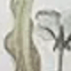 Nhiều màu