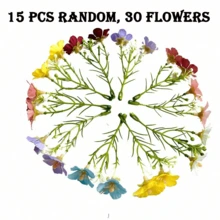 30 Stück winzige Schleierkraut Blumen, mehrfarbiger künstlicher Schleierkraut Strauß, frischer Landhaus-Stil Stoffblumen, DIY Handwerks-Dekorationsmaterial, zarte durchscheinende Blütenblätter, realistische Textur, mehrfarbig gemischt um verschiedene Kreationsbedürfnisse zu erfüllen, mit schlanken grünen Stielen kombiniert um das lebendige frische Gefühl von echtem Schleierkraut nachzuempfinden. Doppelter Blütenkopf-Design, kompakt und exquisit, ohne leichtes Ausstreuen oder Verblassen. - Verschiedenfarbig - Übersicht 13