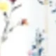 Multicolorido