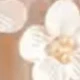 Champagne Pearl Flower