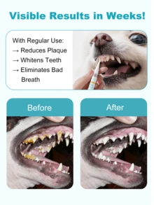 GJYC PET Bộ 2 bút vệ sinh răng miệng cho thú cưng - Loại bỏ cao răng và mảng bám, làm thơm hơi thở, chăm sóc răng miệng nhẹ nhàng cho chó và mèo. - Nhiều màu - Xem 3