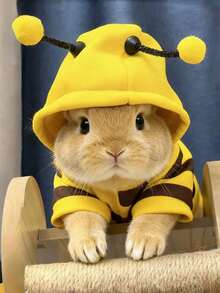 1pc Striped Bee Pattern Sweatshirt, Cute Bee Design Warm Sweatshirt For Spring And Autumn, Rabbit Pet Accessories, Rabbit Pet Supplies, Rabbit, Rabbit Pet Accessories, Rabbit Pet Supplies, Valentine's Day - Multicolor - View 5