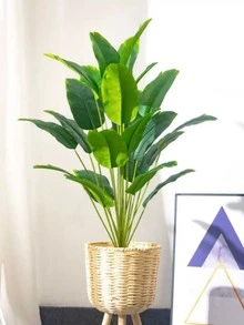 Cây chuối giả nhiệt đới cỡ lớn, lá giả trang trí nhà cửa, thích hợp cho đám cưới, khách sạn, sân vườn, Giáng sinh, Lễ Phục sinh, Lễ Tạ ơn, Ngày của Mẹ, Ngày Thánh Patrick, hành lang, phòng khách, văn phòng và nhiều nơi khác. Không bao gồm chậu cây. - Nhiều màu - Xem 8