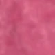 Dragon Fruit Color
