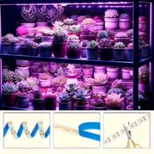 粉紫色LED植物生长灯条，USB供电全光谱植物灯，自带背胶，适用于室内园艺、多肉植物和幼苗 - grow light - 查看 7