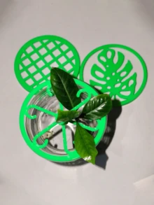 1件 4種款式可重複使用小型植物育苗盤，種子發芽罩，穩定種子發芽並促進盆栽植物根部生長，園藝盤，可重複使用且易於清潔，植物園藝，現代園藝，盆栽工具，室內/室外使用，懸掛花盆/花盆，植物盆 - 彩色 - 查看 6