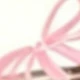 Clear