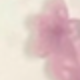 粉色