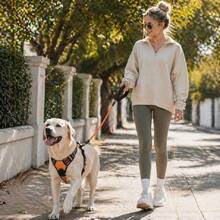No Pull Reflective Dog Harness With Leash Set, Adjustable Soft Mesh Pet Vest Harness With Easy Control Handle, Breathable Heavy Duty Outdoor Walking Training Chest Strap For Small Medium Large Dogs - Orange - View 11