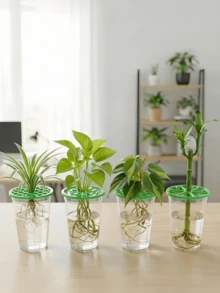 1件 4種款式可重複使用小型植物育苗盤，種子發芽罩，穩定種子發芽並促進盆栽植物根部生長，園藝盤，可重複使用且易於清潔，植物園藝，現代園藝，盆栽工具，室內/室外使用，懸掛花盆/花盆，植物盆 - 彩色 - 查看 2