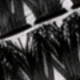 F09