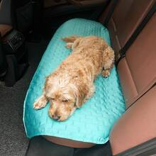 All Season Pet Car Seat Cover, Available In Multiple Colors And Sizes, Anti-Slip And Scratch-Resistant - Multicolor - View 8