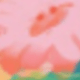 彩色