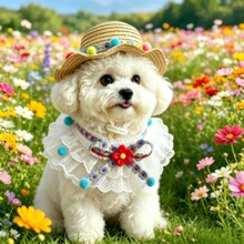 一套可爱花卉宠物遮阳帽和蕾丝围巾套装，带绒球装饰，猫咪和小型犬摄影道具，可调节 - 藍色 - 查看 5