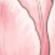 彩色