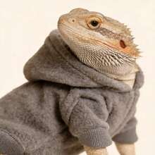 1pc Fluffy Thick Fleece Hooded Sweatshirt - Pet Apparel & Outfits For Lizards And Reptiles - Yellow - View 4