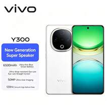 vivo Y300 新一代超級揚聲器 6500mAh超薄藍海電池 超抗摔護眼直屏 AI手機 - 多色 - 查看 11