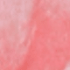 Pink Flowers