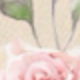 彩色