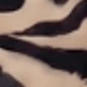 彩色