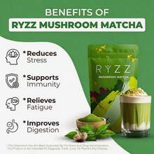 RYZZ Matcha de Hongos - Paquete de 3 SÚPER AHORRO ✨ Orgánico USDA 6 Adaptógenos y Matcha Ceremonial | QUEMA el Cansancio, DESBLOQUEA el Enfoque, SANA el Intestino y PROTEGE la Inmunidad* | Cola de Pavo, Shiitake, Reishi - Compra 3 y Obtén el MÁXIMO DESCUENTO - OFERTA LIMITADA - ¡AHORA! - Paquete de 1 - No incluye funda - Ver 4