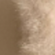 彩色