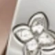 Silver 2