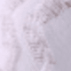 彩色