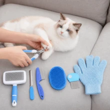 Bộ dụng cụ chăm sóc thú cưng, Bộ dụng cụ chăm sóc thỏ bao gồm kìm cắt móng và dũa móng, lược chải bọ chét, bàn chải tắm cho thú cưng, bàn chải loại bỏ lông rụng, găng tay massage khi tắm, bàn chải vệ sinh nhỏ. - Màu xanh lam - Xem 2