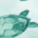 清新水彩多色海龜