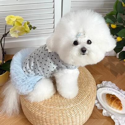 Vestido de malla azul para mascotas, conjunto de verano transpirable y lindo para gatos y perros pequeños como poodle, teddy, adecuado para fiestas de cumpleaños de mascotas, vestido de verano elegante de edición limitada para mascotas