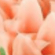 Rượu sâm banh