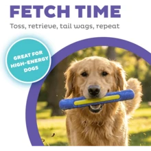 FlyFetch Stick Dog Toy, Durable Natural Rubber, Lightweight, All Breeds, 10.4" - mặc định - Xem 2