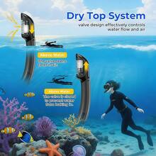 Equipo de snorkel para adultos, máscara de snorkel con gafas antivaho de vidrio templado de 180 grados, tubo de respiración seco, adecuado para hombres y mujeres - Multicolor - Ver 7