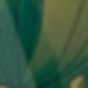 màu xanh lá