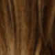 Màu nâu highlight