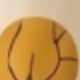 Lá cam
