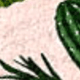 Nhiều màu