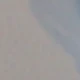 الأسود