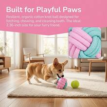 3件套狗狗绳索玩具套装，耐用耐咬玩具，适合中小型犬，清洁牙齿，互动式拔河玩具 - 互動磨牙套裝 - 查看 3