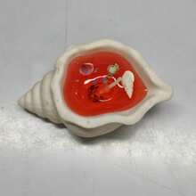 2026 Nouveau - Bougeoir en sculpture de coquillage transparent fait main, objet de collection décoratif thème océanique avec coquillage et sable, décoration d'intérieur élégante, cadeau parfait pour anniversaire, Pâques, Saint-Valentin - Multicolore - Voir 10