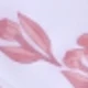 彩色