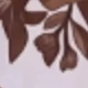 彩色