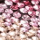 Champagne Pink