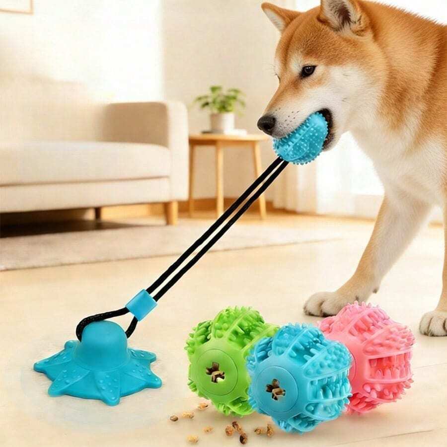 Pet Training Toy, Dog Chew Leash With Strong Suction Cup, Pet Chew Toy, Suction Cup Pet Training Toy. Suitable For Entertainment Of Small And Medium Dogs. (Recommended For Use On Smooth Tiles, Not Recommended For Use On Wooden Floors.)