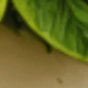 多款1