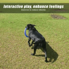 XL Large Indestructible Dog Toys, Dog Chew Toys For Aggressive Chewers,Flying Discs For Medium/Large Breeds. Floating Dog Ring Toys For Throwing, Catching, Grabbing. (12 Inch) - Màu xanh dương, cỡ trung bình/lớn - Xem 4